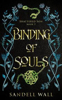Binding of Souls (Shattered Son Book 2)