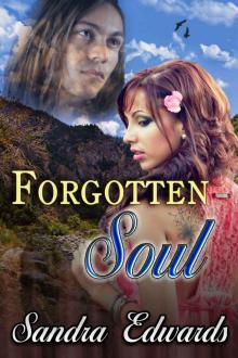 Forgotten Soul (Soul Searchers Series: Book 1)