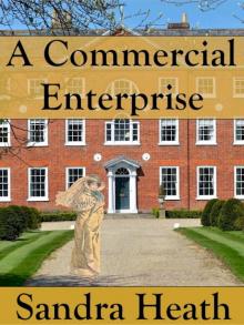 A Commercial Enterprise A Commercial Enterprise