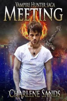 Meeting: Vampire Hunter Saga Book 1