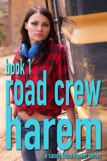 Road Crew Harem Book 1: A working stiff MFFF harem tale