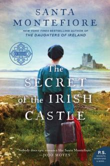 The Secret of the Irish Castle