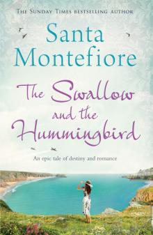 The Swallow and the Hummingbird The Swallow and the Hummingbird