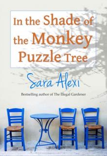 In the Shade of the Monkey Puzzle Tree
