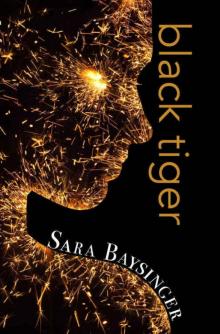 black tiger (Black Tiger Series Book 1)
