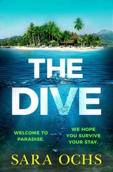 The Dive The Dive