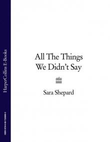 All the Things We Didn't Say All the Things We Didn't Say