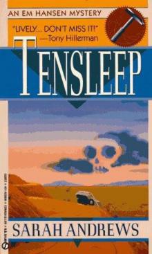 Tensleep: An Em Hansen Mystery