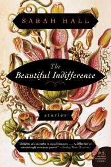 The Beautiful Indifference The Beautiful Indifference