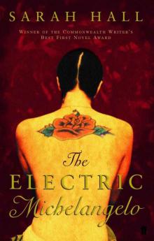 The Electric Michelangelo The Electric Michelangelo