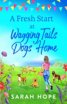 A Fresh Start at Wagging Tails Dogs' Home