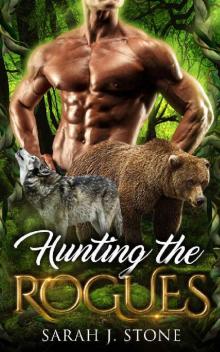 Hunting the Rogues (Shadow Claw Book 8)