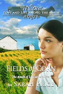 Fields of Corn: The Amish of Lancaster