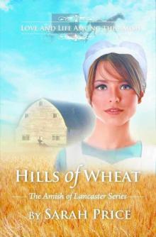 Hills of Wheat: The Amish of Lancaster