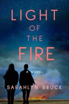 Light of the Fire: A Novel