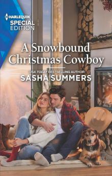 A Snowbound Christmas Cowboy: Texas Cowboys & K-9s Series, Book 5