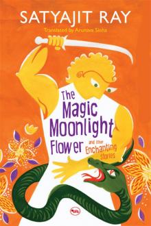 The Magic Moonlight Flower and Enchanting stories