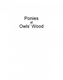 Ponies at Owls' Wood