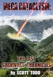 Mega Cataclysm: The Last Survivors Chronicles