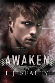 Awaken (Divine Hunter Series Book 1)