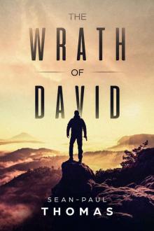 The Wrath of David