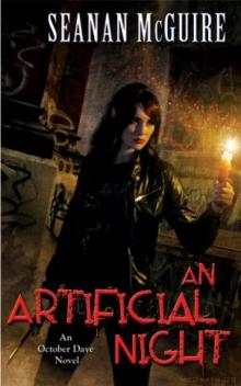 An Artificial Night od-3