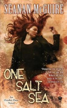 One Salt Sea od-5