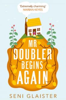 Mr Doubler Begins Again