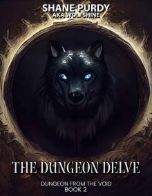The Dungeon Delve: A Dungeon Core LitRPG Novel (Dungeon from the Void Book 2)