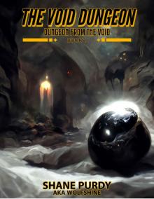 The Void Dungeon: A Dungeon Core LitRPG Novel (Dungeon from the Void Book 1)