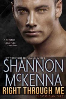 Right Through Me (The Obsidian Files #1) Right Through Me (The Obsidian Files #1)