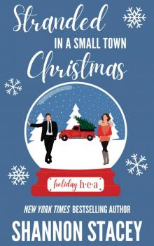 Stranded In a Small Town Christmas