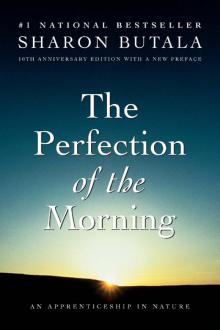 Perfection of the Morning Perfection of the Morning