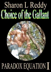 Choice of the Gallant_Paradox Equation I Choice of the Gallant_Paradox Equation I