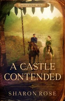 A Castle Contended: Castle in the Wilde - Novel 2