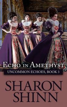 Echo in Amethyst (Uncommon Echoes Book 3) Echo in Amethyst (Uncommon Echoes Book 3)
