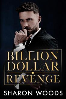 Billion Dollar Revenge: An Age Gap Opposites Attract Romance: (The Lincoln Brothers Book 2)