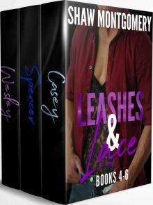 Leashes & Lace Books 4-6: MM Romance Boxed Set