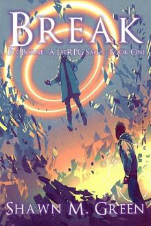 Break (EvoBorne - A LitRPG Saga Book 1)
