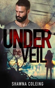 Under the Veil: A Christian Thriller (Underwood Book 1)