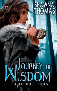 Journey of Wisdom