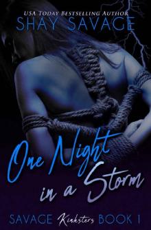 One Night in a Storm: Savage Kinksters Book 1 One Night in a Storm: Savage Kinksters Book 1