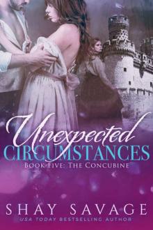 The Concubine (Unexpected Circumstances #5) The Concubine (Unexpected Circumstances #5)