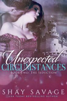 The Seduction (Unexpected Circumstances #2) The Seduction (Unexpected Circumstances #2)