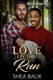 Love on the Run: MM Omegaverse MPreg Romance