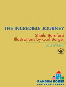 The Incredible Journey