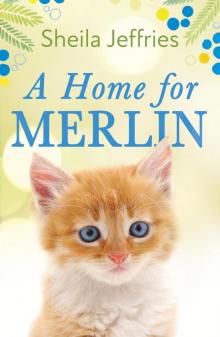 A Home for Merlin A Home for Merlin