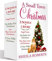 A Small Town Christmas
