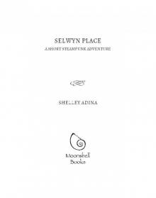 Selwyn Place