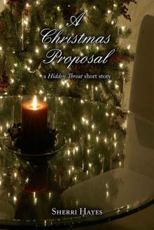 A Christmas Proposal: A Hidden Threat Short Story